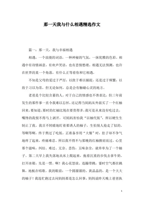 那一天我与什么相遇精选作文
