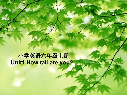 Unit1 How tall are you