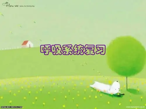 呼吸系统复习