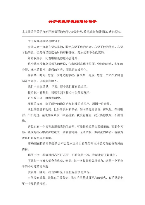 关于夜晚环境描写的句子