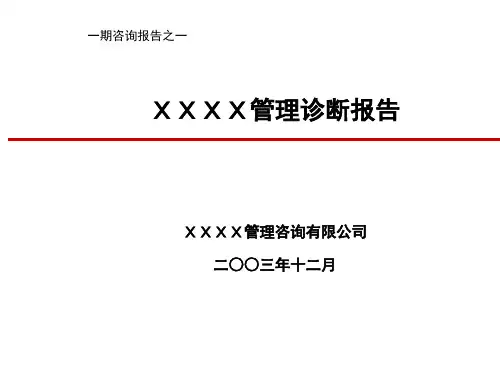 北大纵横--XX公司管理诊断报告