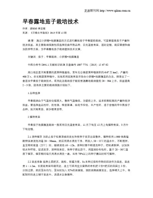 早春露地茄子栽培技术