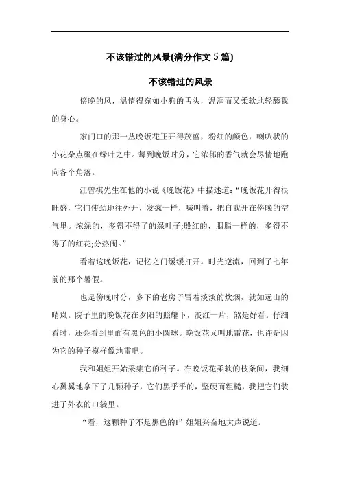 不该错过的风景(满分作文5篇)