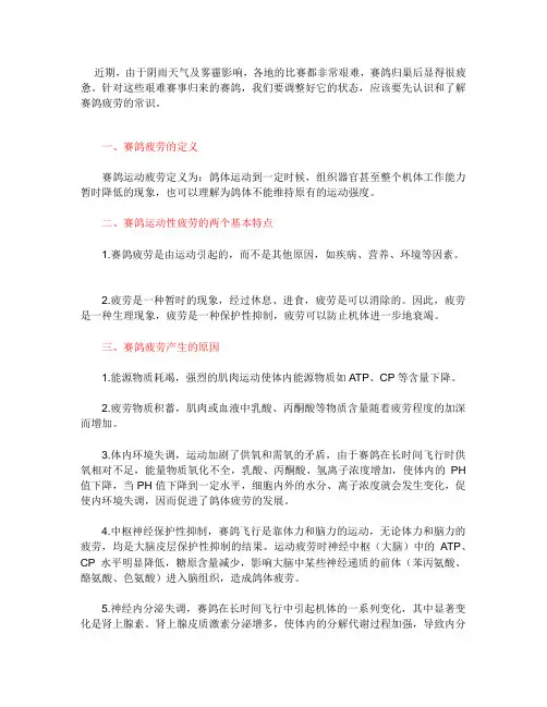 快速消除鸽子赛后疲劳的方法