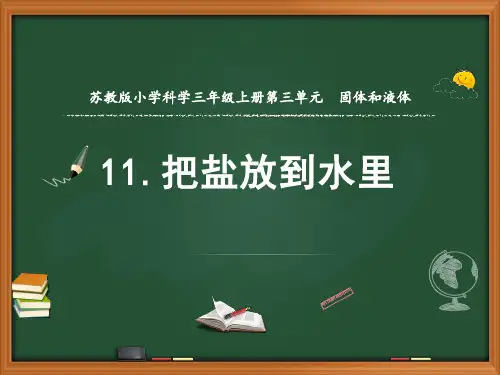 新苏教版科学三年级上册科学11.把盐放到水里(第一课时)