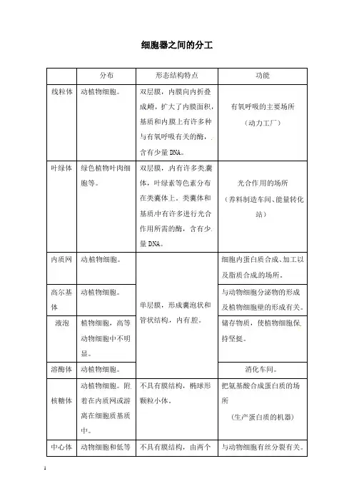 最新人教版高中生物必修1第三章《细胞器之间的分工》教案.doc