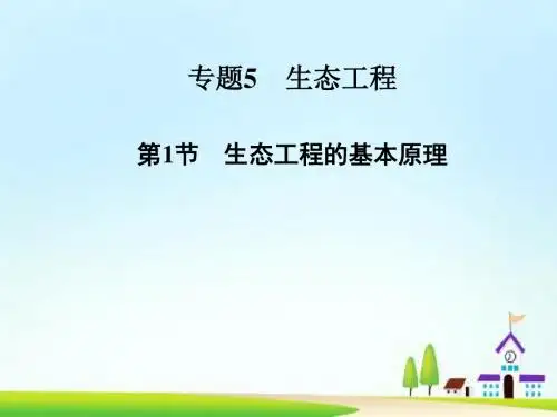 高中生物 专题五 第1节 生态工程的基本原理课件 新人教选修3