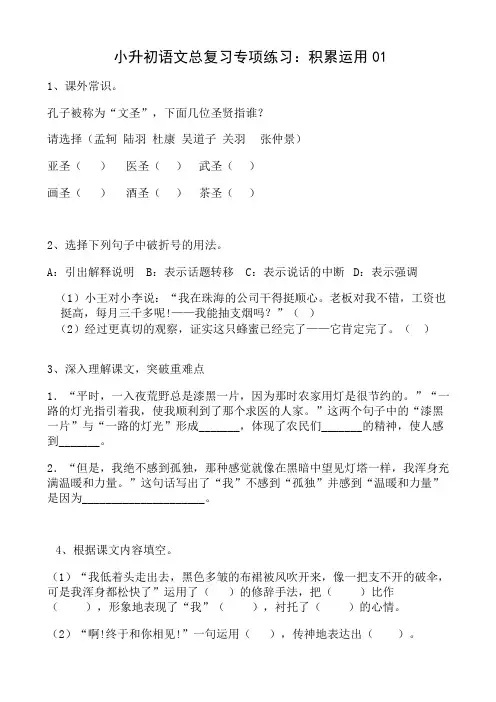 小升初语文总复习专项练习：积累运用01(附答案)