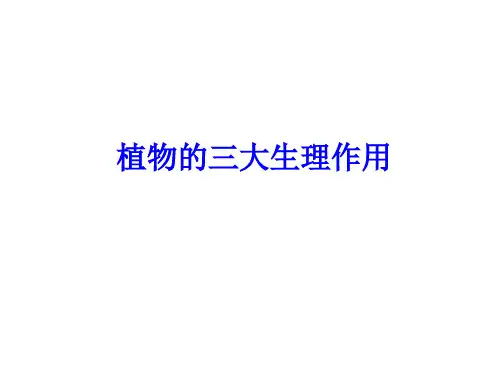 绿色植物的三大生理作用  复习