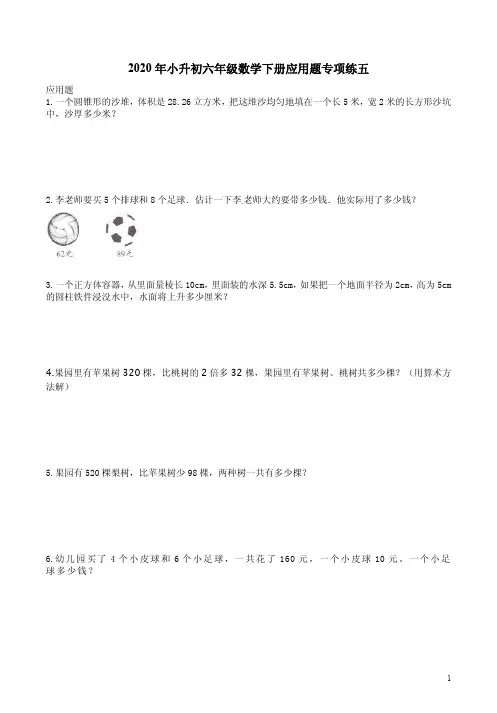 人教版2020年小升初六年级数学下册应用题专项练五附答案解析