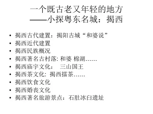 广东史——揭西县