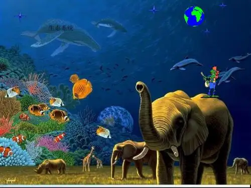 人教版高中生物必修三第一节《生态系统的结构》课件