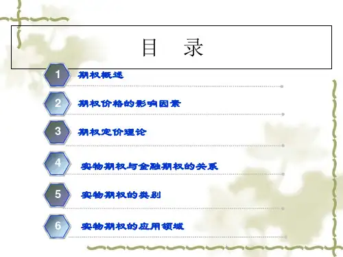 实物期权理论与资本预算
