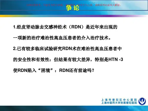 高血压肾动脉消融术的再审视培训课件