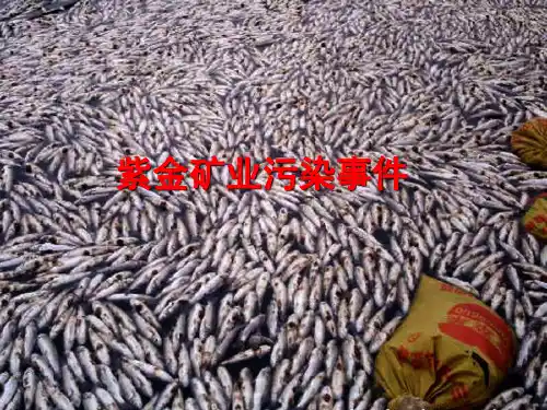 课程论文案例04-紫金矿业废水泄露污染事件