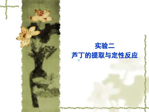 芦丁的提取与定性
