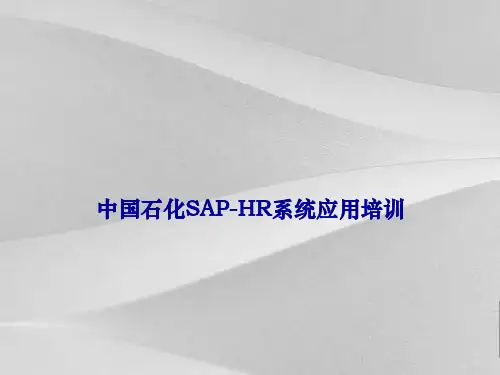 中国石化saphr系统应用培训—薪酬管理