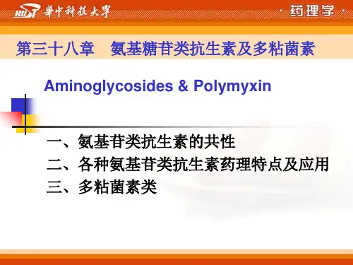 庆大霉素课件