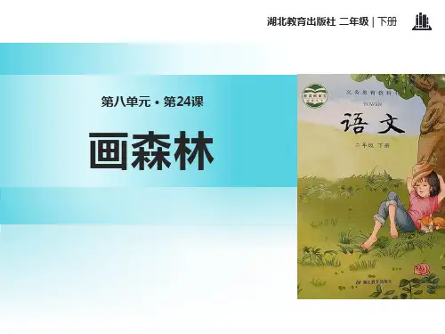 《画森林》PPT(完美版)