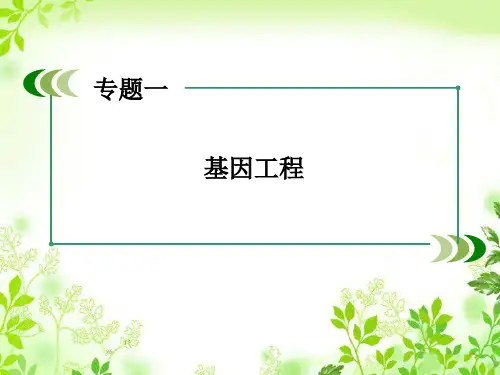 最新人教版 选修三生物：专题1《基因工程》专题归纳ppt课件