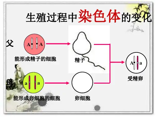 7.2.3 基因的显性和隐性