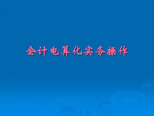 2012吉林省会计从业实务操作演示