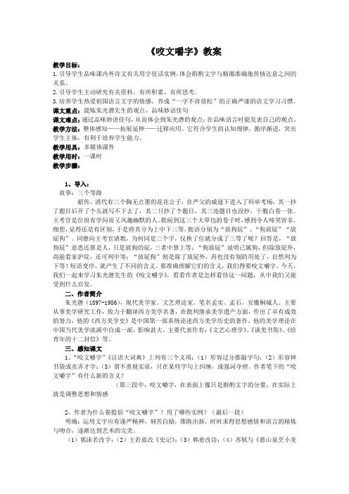 咬文嚼字教案
