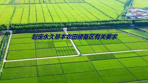 划定永久基本农田储备区有关要求专题培训课件
