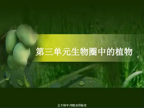 人教七年级生物上册  种子植物课件(PDF版,19页)