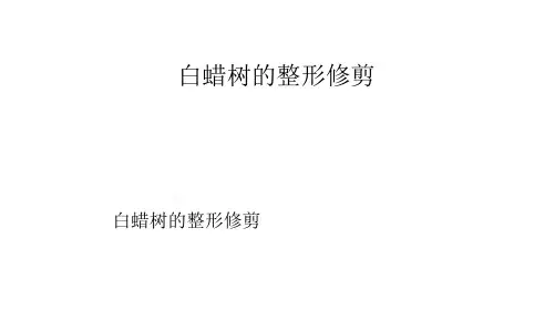 白蜡树的整形修剪
