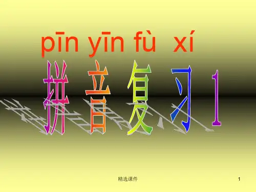 一年级拼音复习练习题