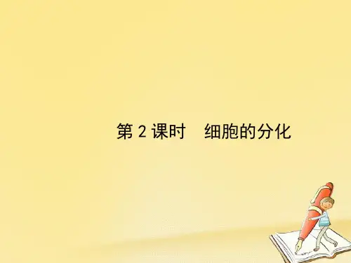 人教版高中生物必修一教学课件：第6单元 第2课时