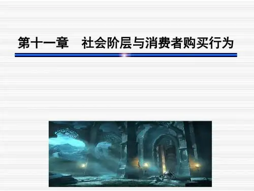 消费者行为学第十一章概述.