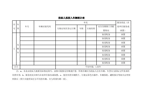 拟投入车辆统计表