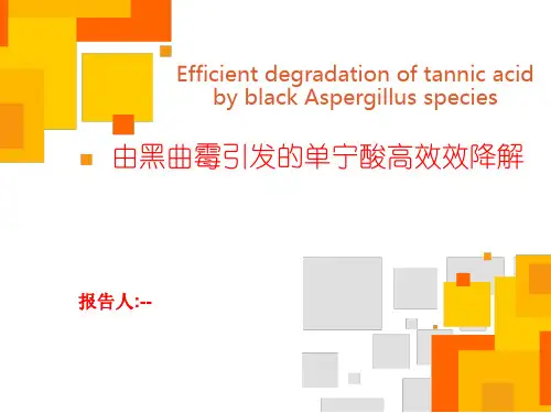 由黑曲霉引发的单宁酸高效效降解