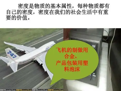 6.4密度与社会生活