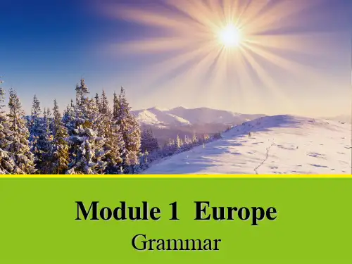 【英语】Module 1《Section Two Grammar》课件1(外研版必修3)