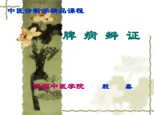 脾病辨证