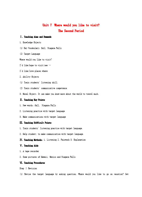 九年级英语全册 Unit 7 Where would you like to visit？The S