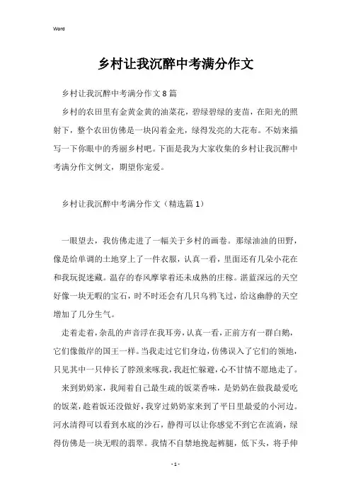 乡村让我陶醉中考满分作文