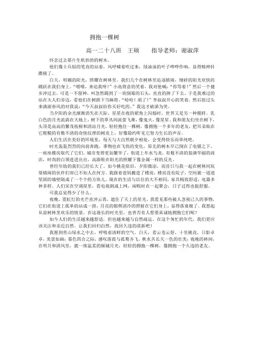 拥抱一棵树