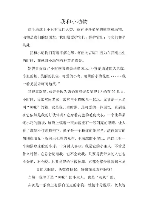 我和小动物