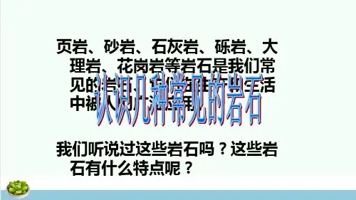 四年级科学下册4岩石和矿物2认识几种常见的岩石课件1教科版