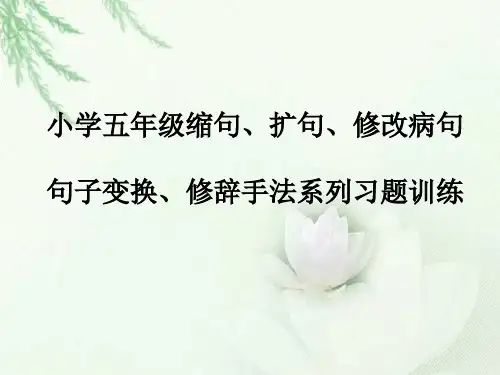 部编版语文小学五年级《句子结构》缩句扩句修改病句句型转换修辞手法系列习题训练