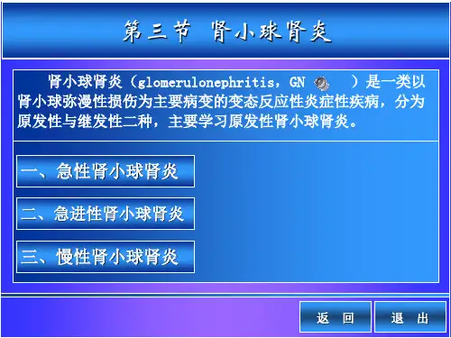 肾小球疾病病人护理整理