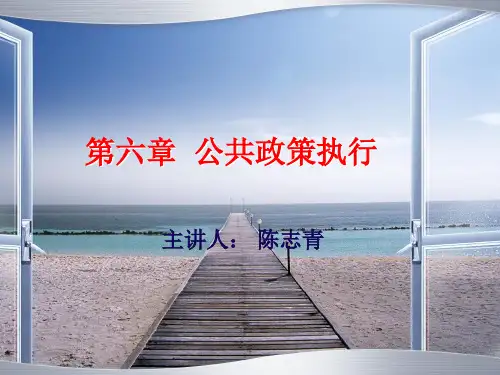 第五组：政策执行