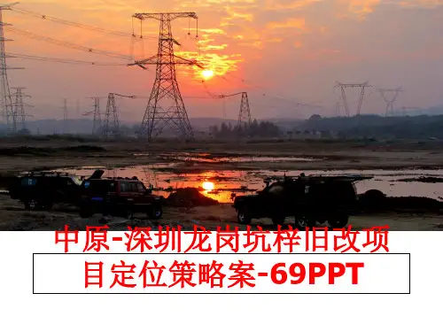 最新中原-深圳龙岗坑梓旧改项目定位策略案-69PPT