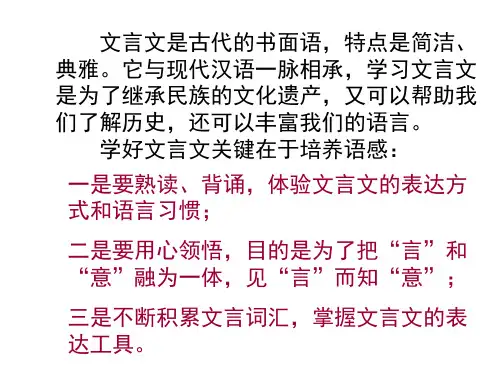 撒盐空中差可拟