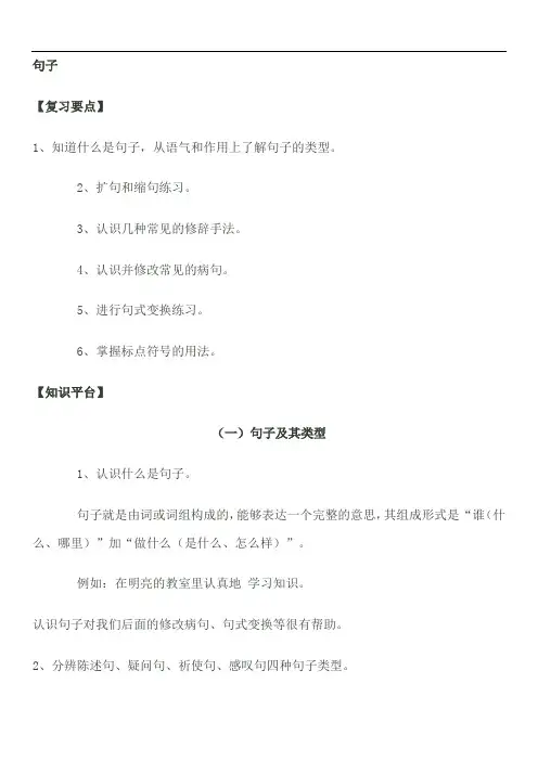小升初句子专题复习
