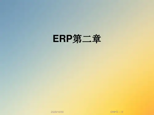ERP第二章